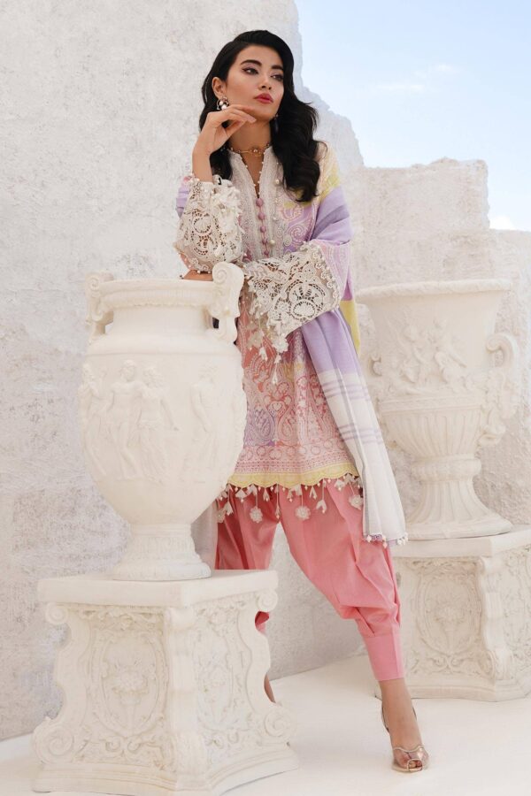 Sana Safinaz M241-015A-3Dg Printed Net