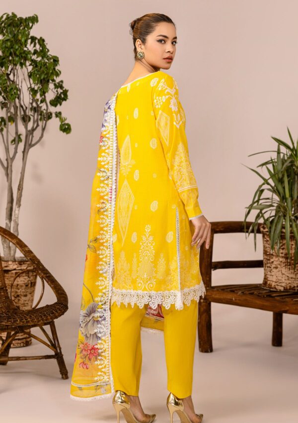 Rubaaiyat Rel24 06 Embroidered Lawn Collection