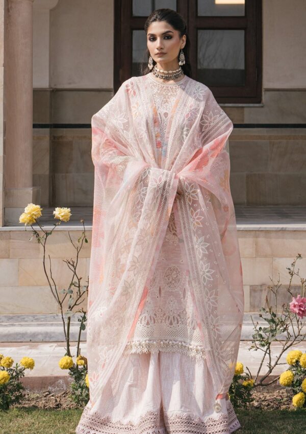 Jazmin Sll24 08 Shahkaar Lawn Collection