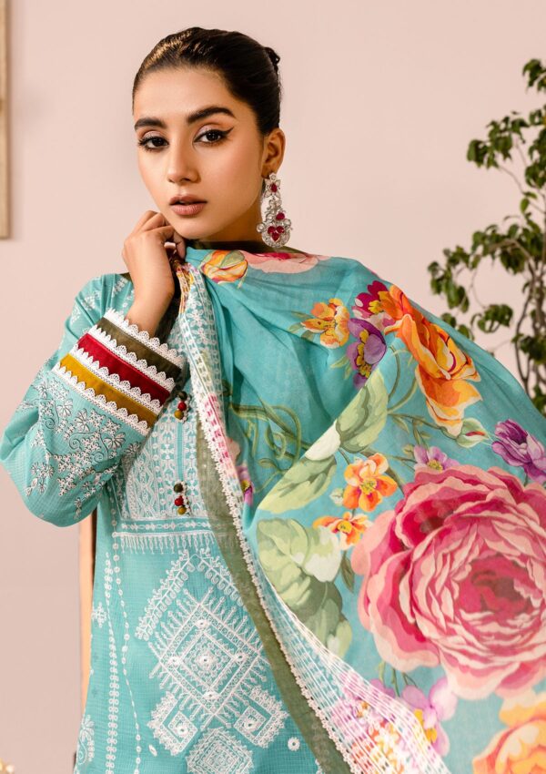 Rubaaiyat Rel24 03 Embroidered Lawn Collection