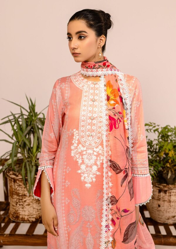 Rubaaiyat Rel24 08 Embroidered Lawn Collection