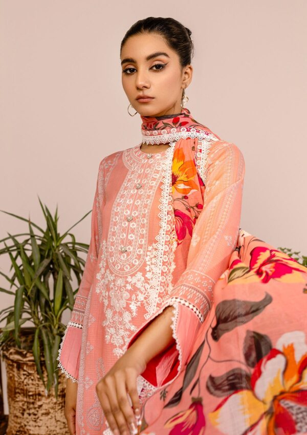 Rubaaiyat Rel24 08 Embroidered Lawn Collection