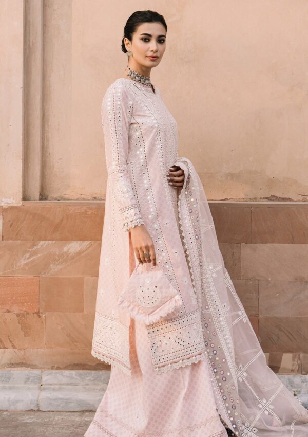 Jazmin Sll24 14 Shahkaar Lawn Collection