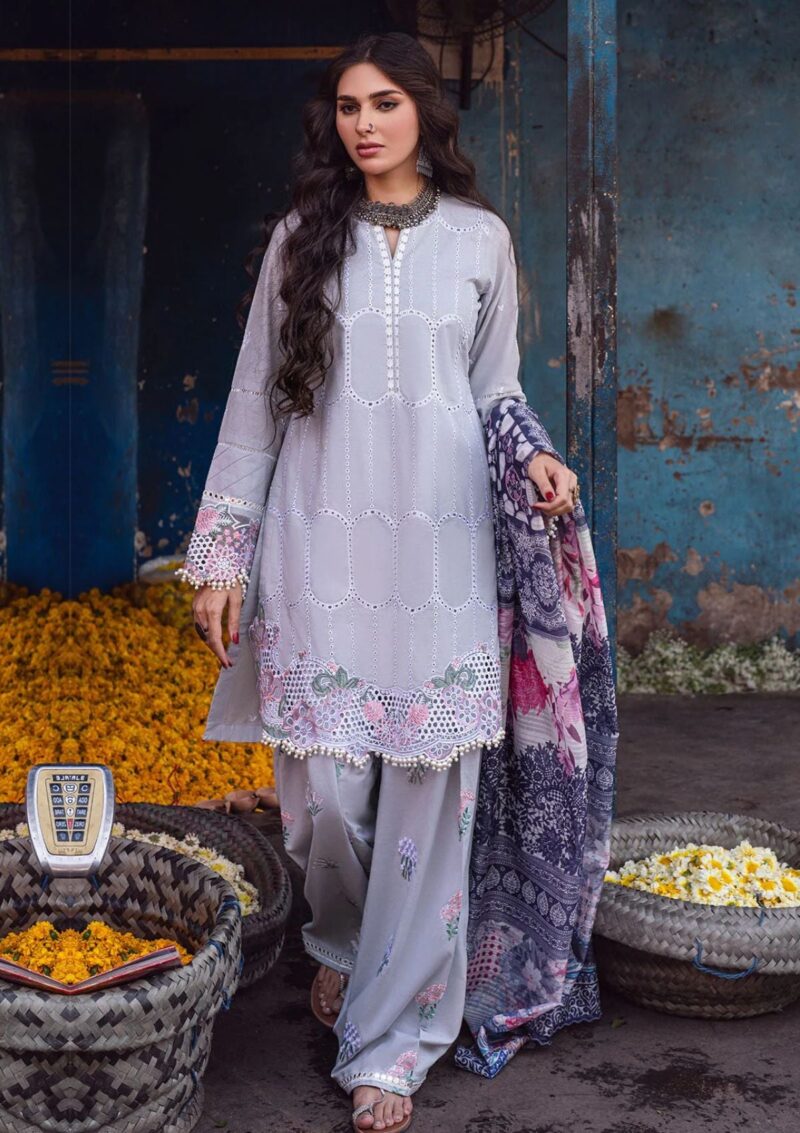 Sahane Ct 10007 Dastaan Sahakari Chikankari Lawn Collection