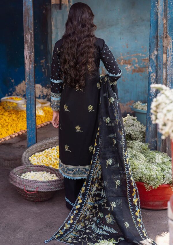 Sahane Ct 10008 Kashish Sahakari Chikankari Lawn Collection