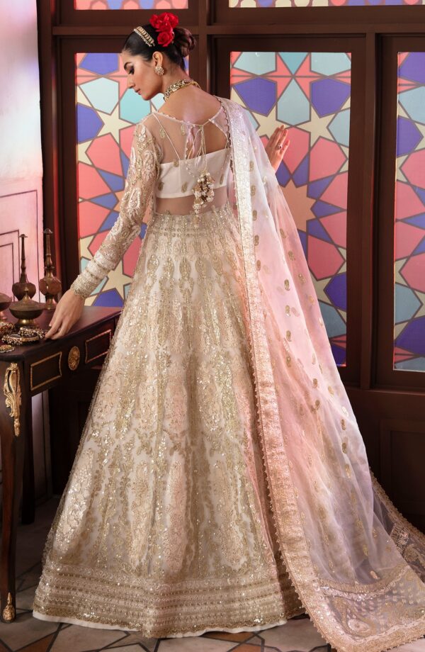 Zevk Alif Zevk Afsanah Luxury Embroidered Net