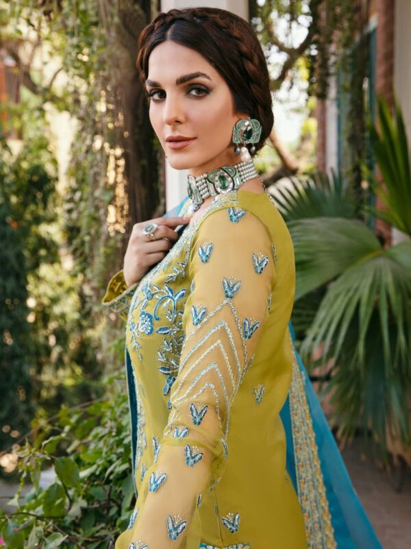 Akbar Aslam Davina Layali Formals Embroidered Organza