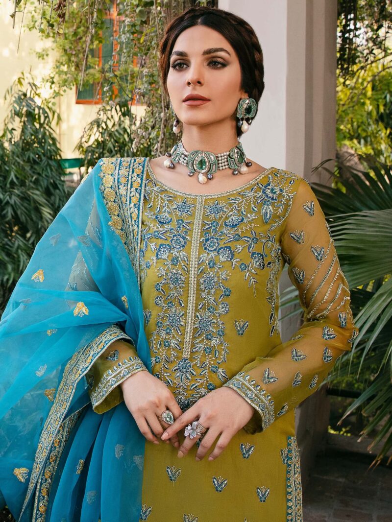 Akbar Aslam Davina Layali Formals Embroidered Organza