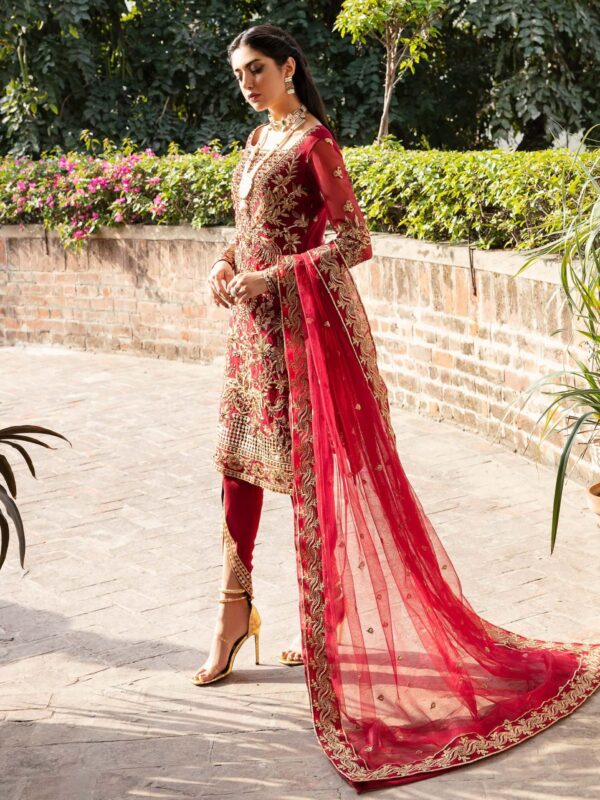 Akbar Aslam Omaira Layali Formals Embroidered Net