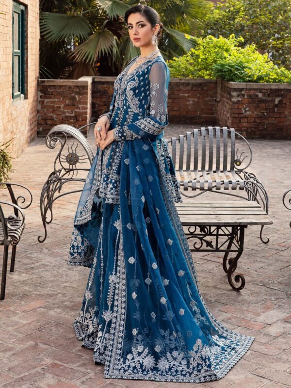 Akbar Aslam Nayara Layali Formals Embroidered Organza