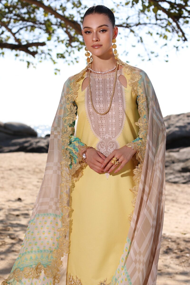 Charizma An4-08 Aniqa Embroidered Chiffon Collection