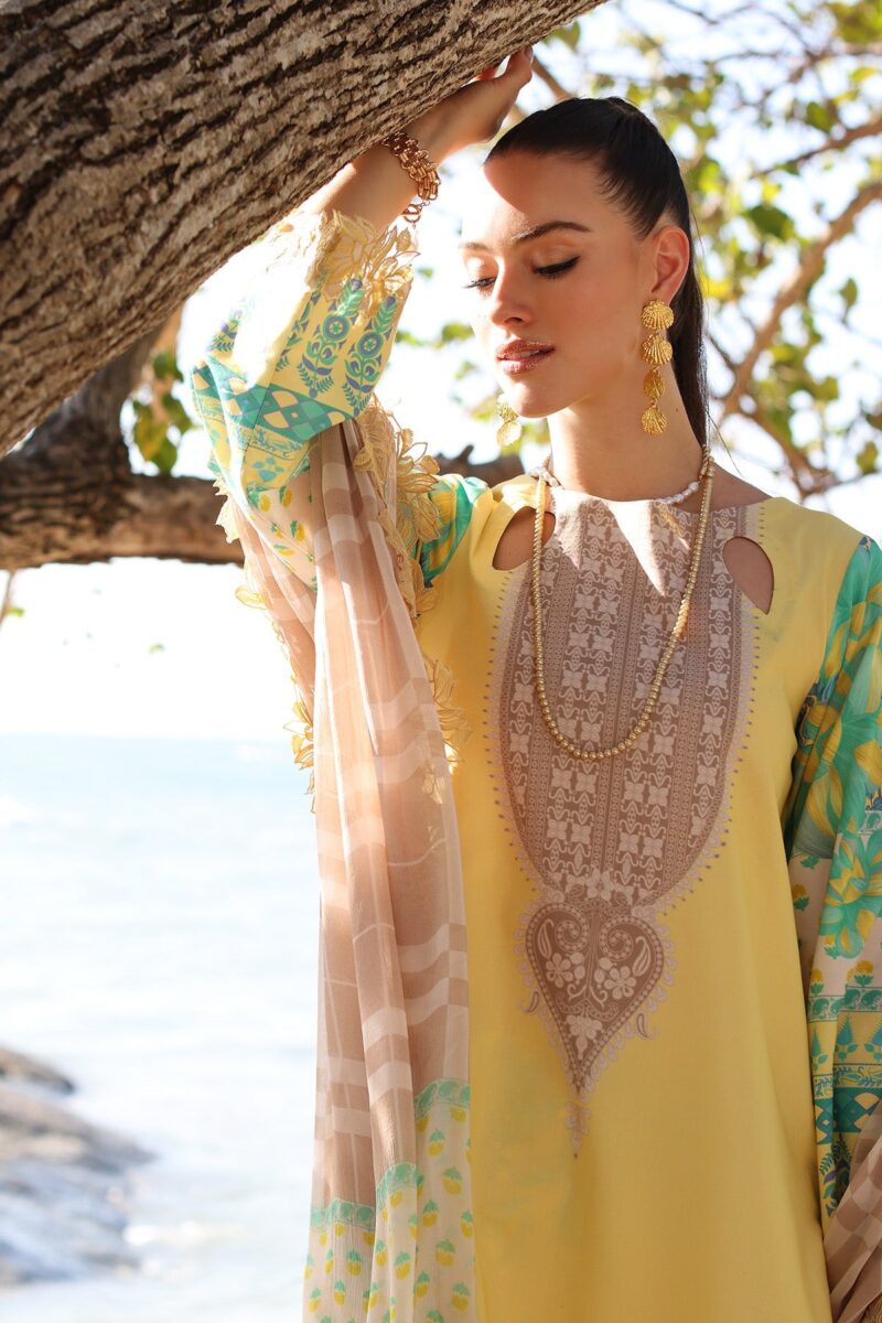 Charizma An4-08 Aniqa Embroidered Chiffon Collection