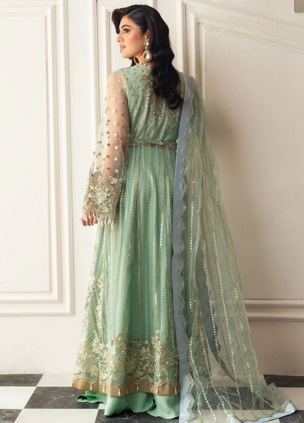 Mushq D-01 Pistachio Hemline Embroidered Net