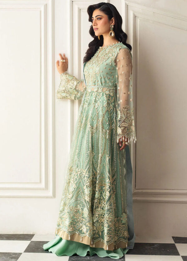 Mushq D-01 Pistachio Hemline Embroidered Net