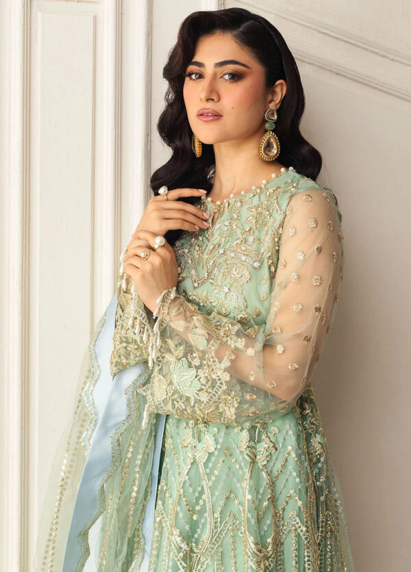 Mushq D-01 Pistachio Hemline Embroidered Net