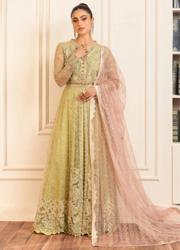 Mushq D-02 Wasabi Hemline Embroidered Net