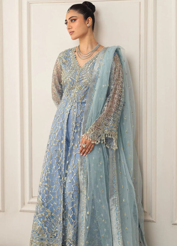 Mushq D-04 Periwinkle Hemline Embroidered Net