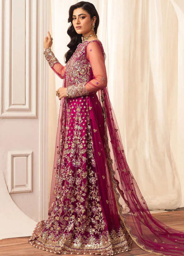 Mushq D-05 Fuchsia Hemline Embroidered Net