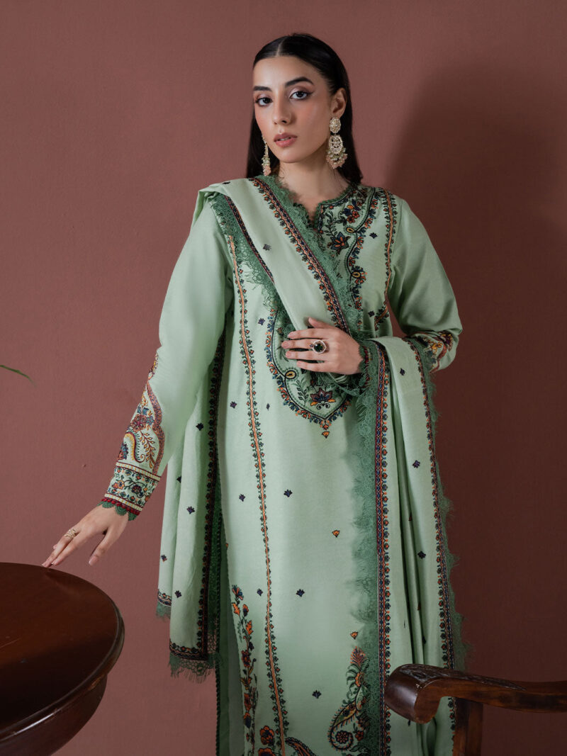 Faiza Faisal - Defne Winter Embroidered Karandi Collection