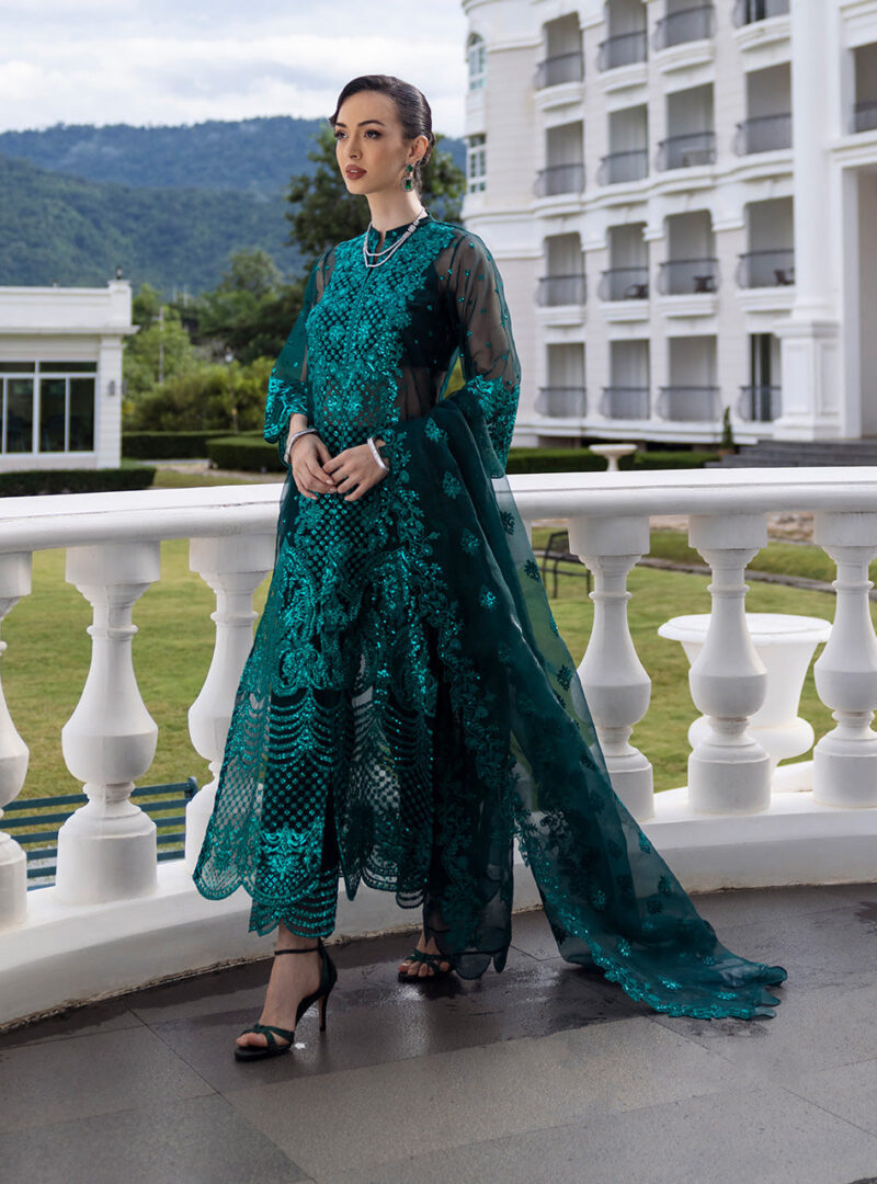 Zainab Chottani D-01 Zeina Chottani Embroidered Organza