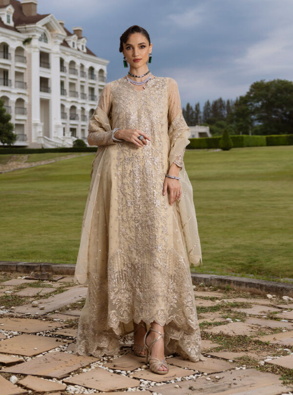 Zainab Chottani D-04 Ivana Chottani Embroidered Organza