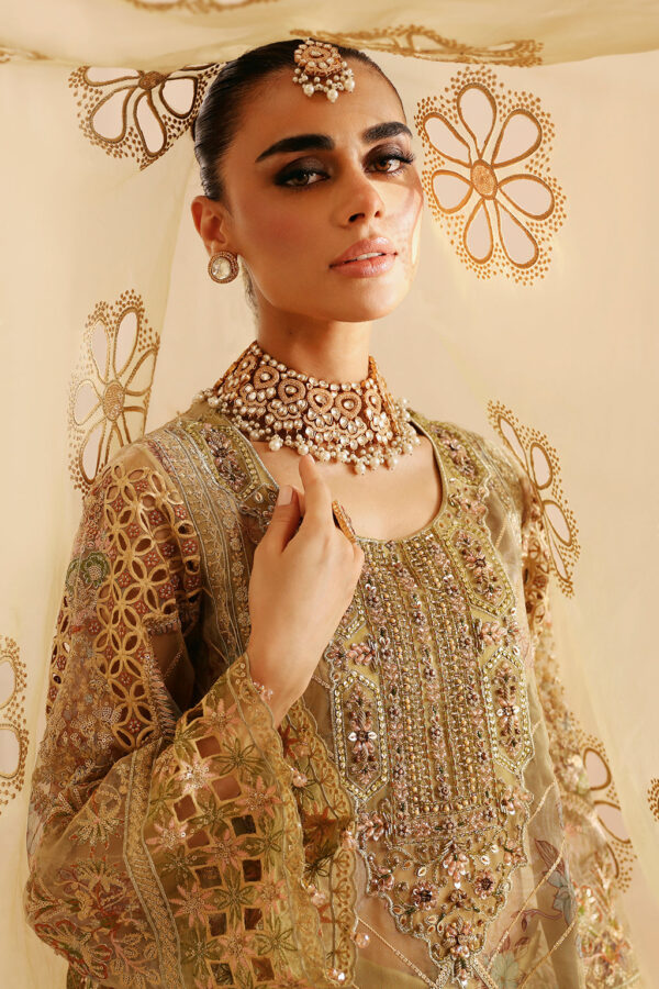 Ramsha E-205 Festive Vol-02 Embroidered Organza