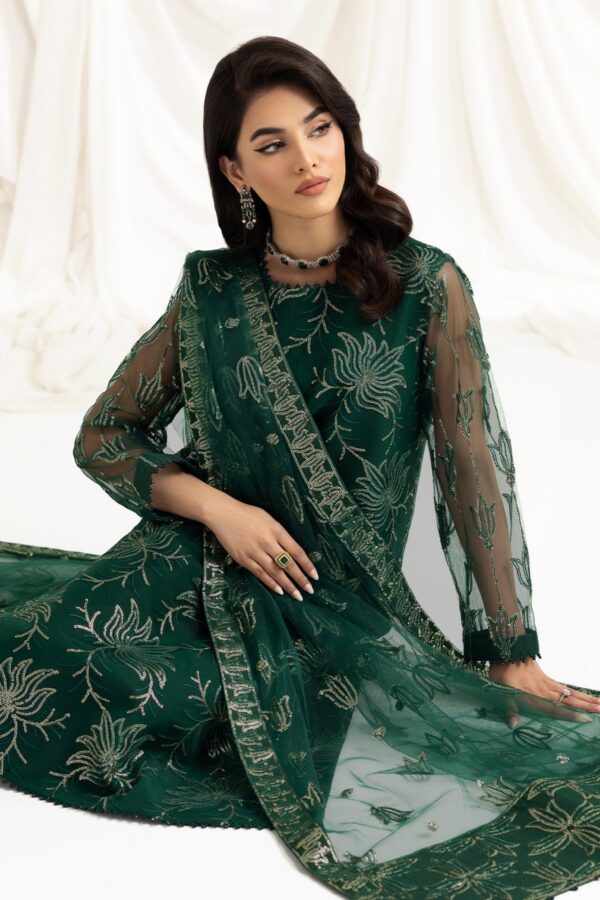 Alizeh Fashion Dua-V02D05A Dua Embroidered Net