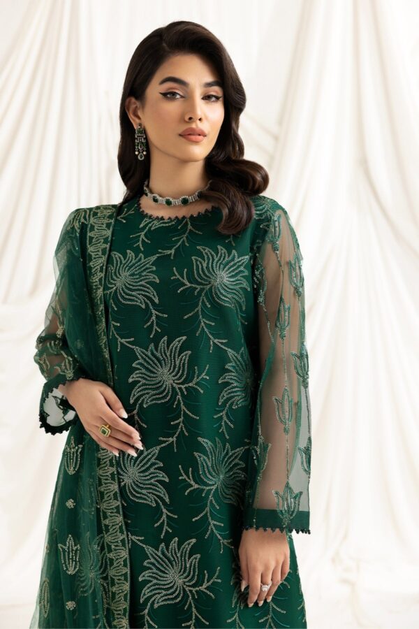 Alizeh Fashion Dua-V02D05A Dua Embroidered Net