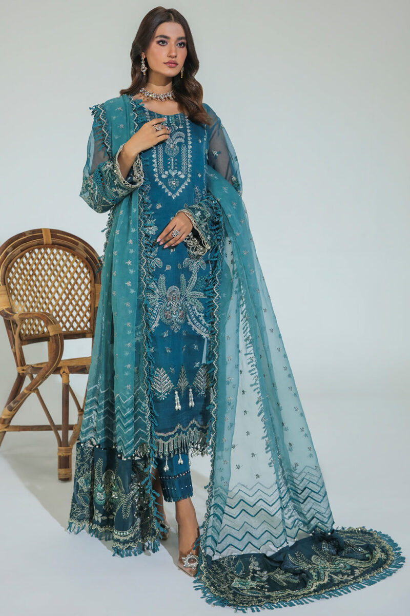 Avyana Raaya Gulmehr Embroidered Organza