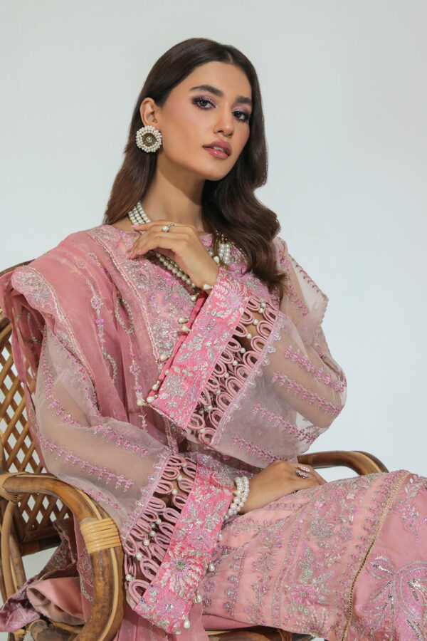 Avyana Kanwal Gulmehr Embroidered Organza