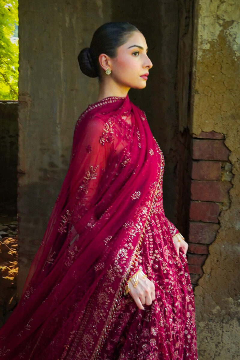 Saad Shaikh D-02 Elaila Silsila Embroidered Net