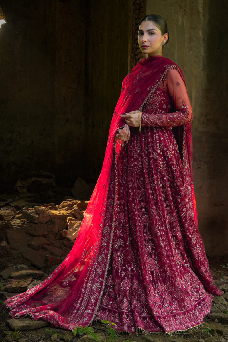 Saad Shaikh D-02 Elaila Silsila Embroidered Net