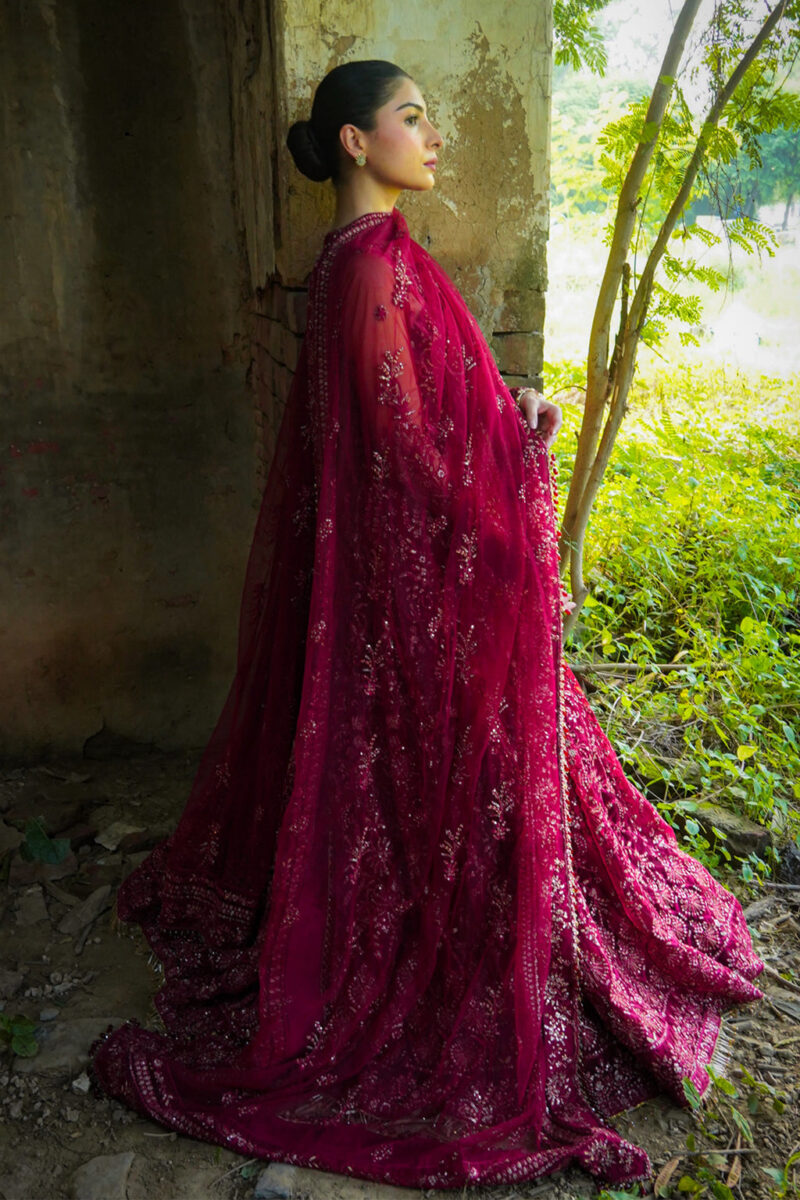 Saad Shaikh D-02 Elaila Silsila Embroidered Net