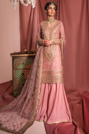 Aik Atelier Look-02 Wedding Festive Embroidered Net