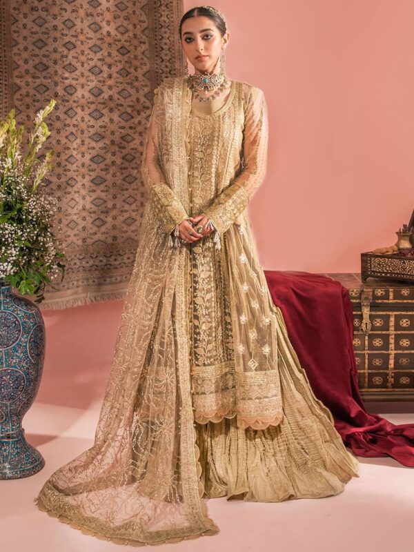 Aik Atelier Look-03 Wedding Festive Embroidered Net