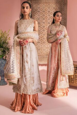 Aik Atelier Look-07 Wedding Festive Embroidered Net