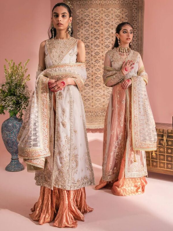 Aik Atelier Look-07 Wedding Festive Embroidered Net