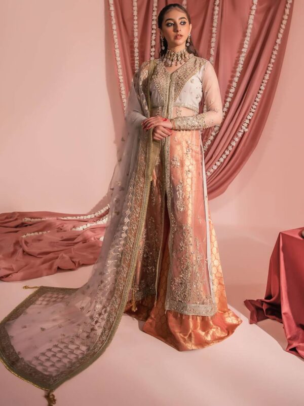 Aik Atelier Look-07 Wedding Festive Embroidered Net