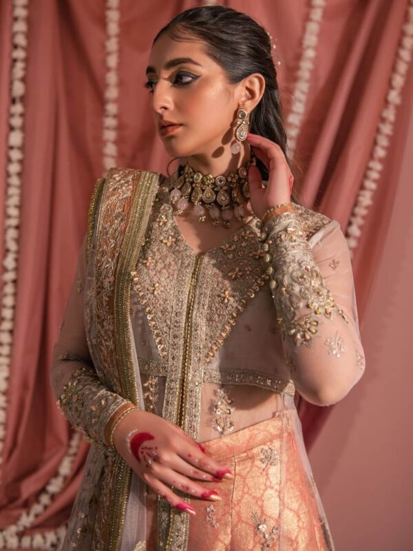 Aik Atelier Look-07 Wedding Festive Embroidered Net