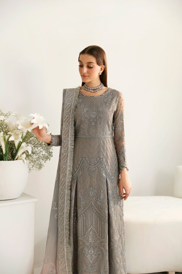 Alizeh Fashion Af-Ch-2179-Lisya La Ruhe Embroidered Net