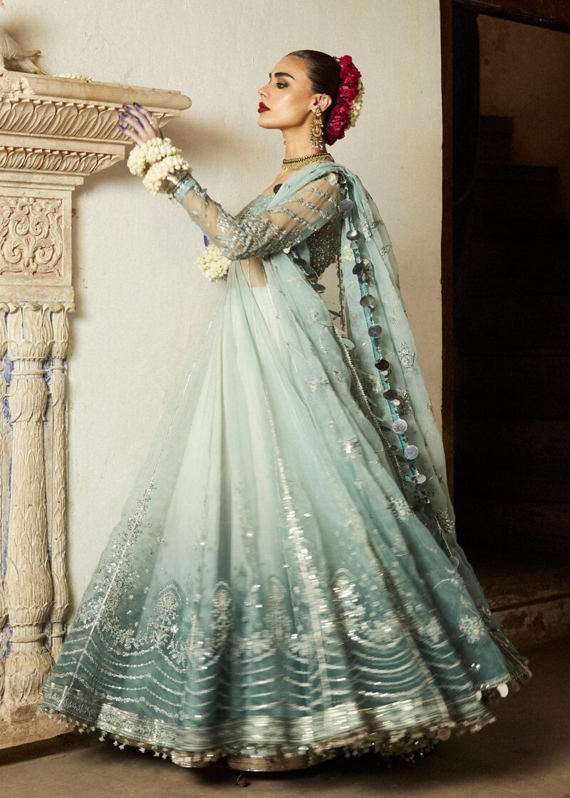 Hussain Rehar Festive Embroidered Organza Dress