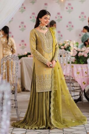 Akbar Aslam Meharzad Shadmani Embroidered Raw Silk