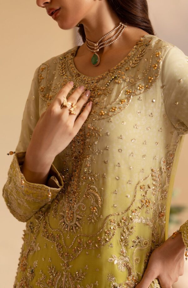 Emaan Adeel Sabian Romansiyyah Embroidered Organza