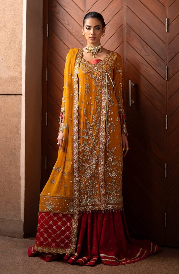 Emaan Adeel Solene Casabella Embroidered Chiffon