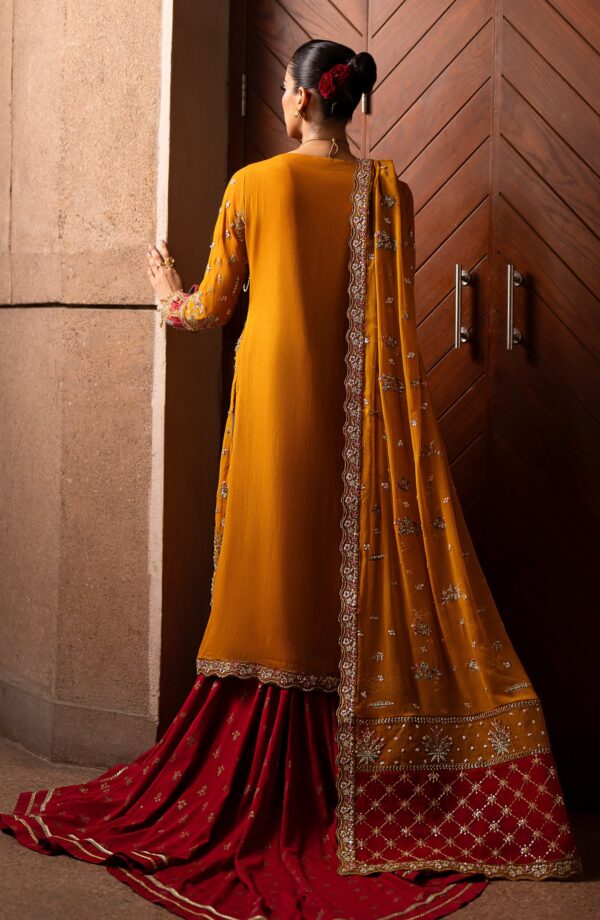 Emaan Adeel Solene Casabella Embroidered Chiffon