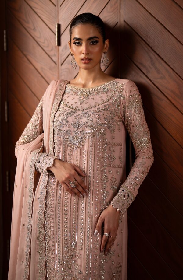 Emaan Adeel Kaylin Casabella Embroidered Chiffon