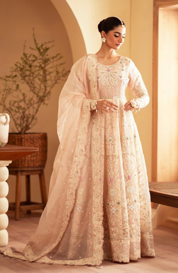 Emaan Adeel Faatin Romansiyyah Embroidered Organza