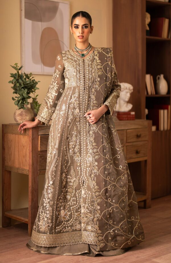 Emaan Adeel Yesra Romansiyyah Embroidered Organza