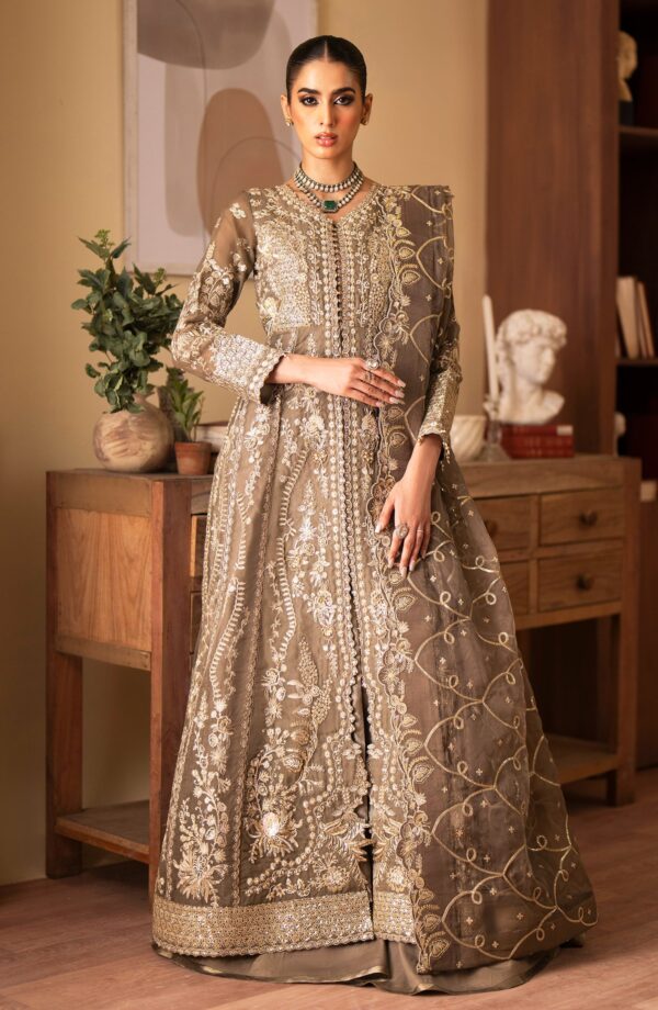 Emaan Adeel Yesra Romansiyyah Embroidered Organza