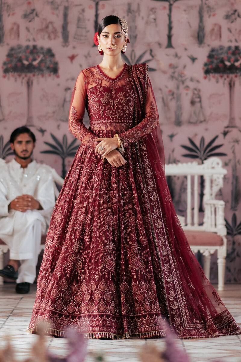 Saad Shaikh D-02 Elaila Silsila Embroidered Net